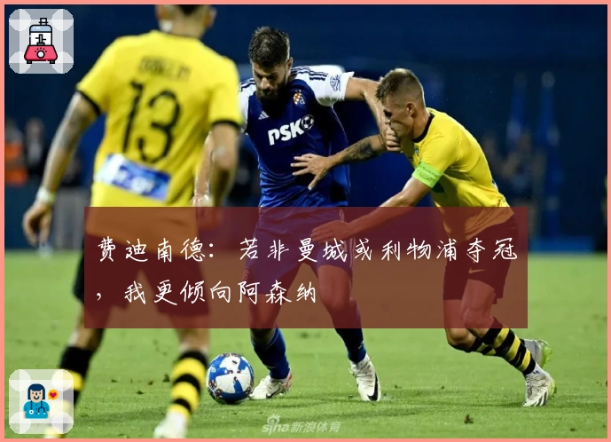 费迪南德：若非曼城或利物浦夺冠，我更倾向阿森纳