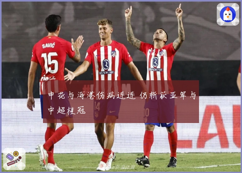 申花与海港伤病连连 仍斩获亚军与中超桂冠