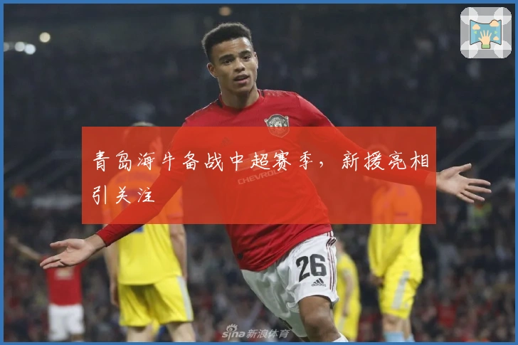 青岛海牛备战中超赛季,新援亮相引关注