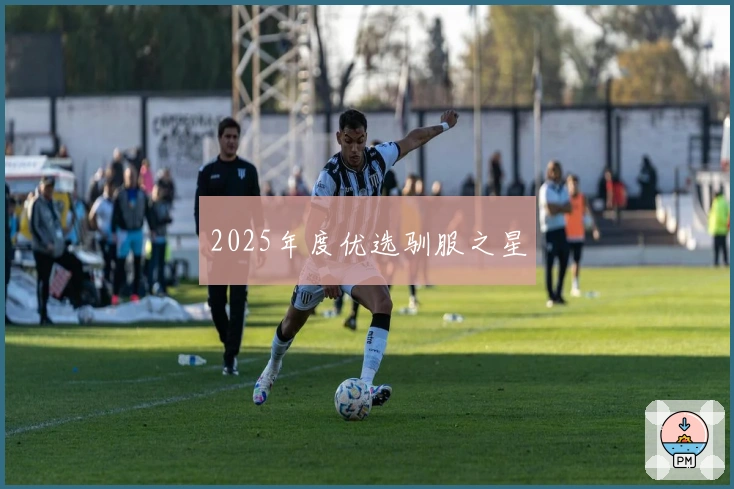 2025年度优选驯服之星