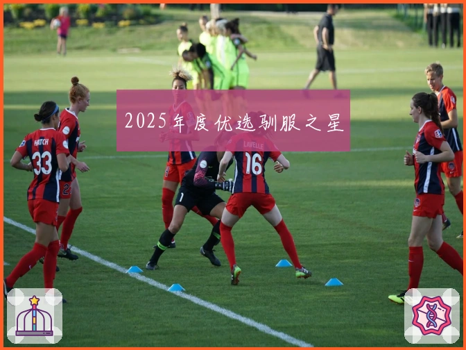 2025年度优选驯服之星