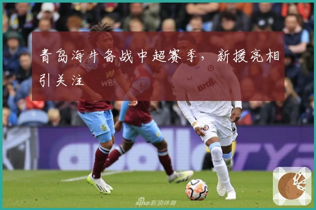 青岛海牛备战中超赛季，新援亮相引关注