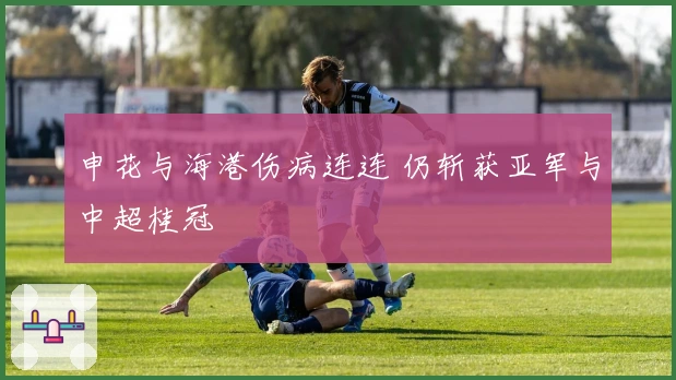 申花与海港伤病连连 仍斩获亚军与中超桂冠